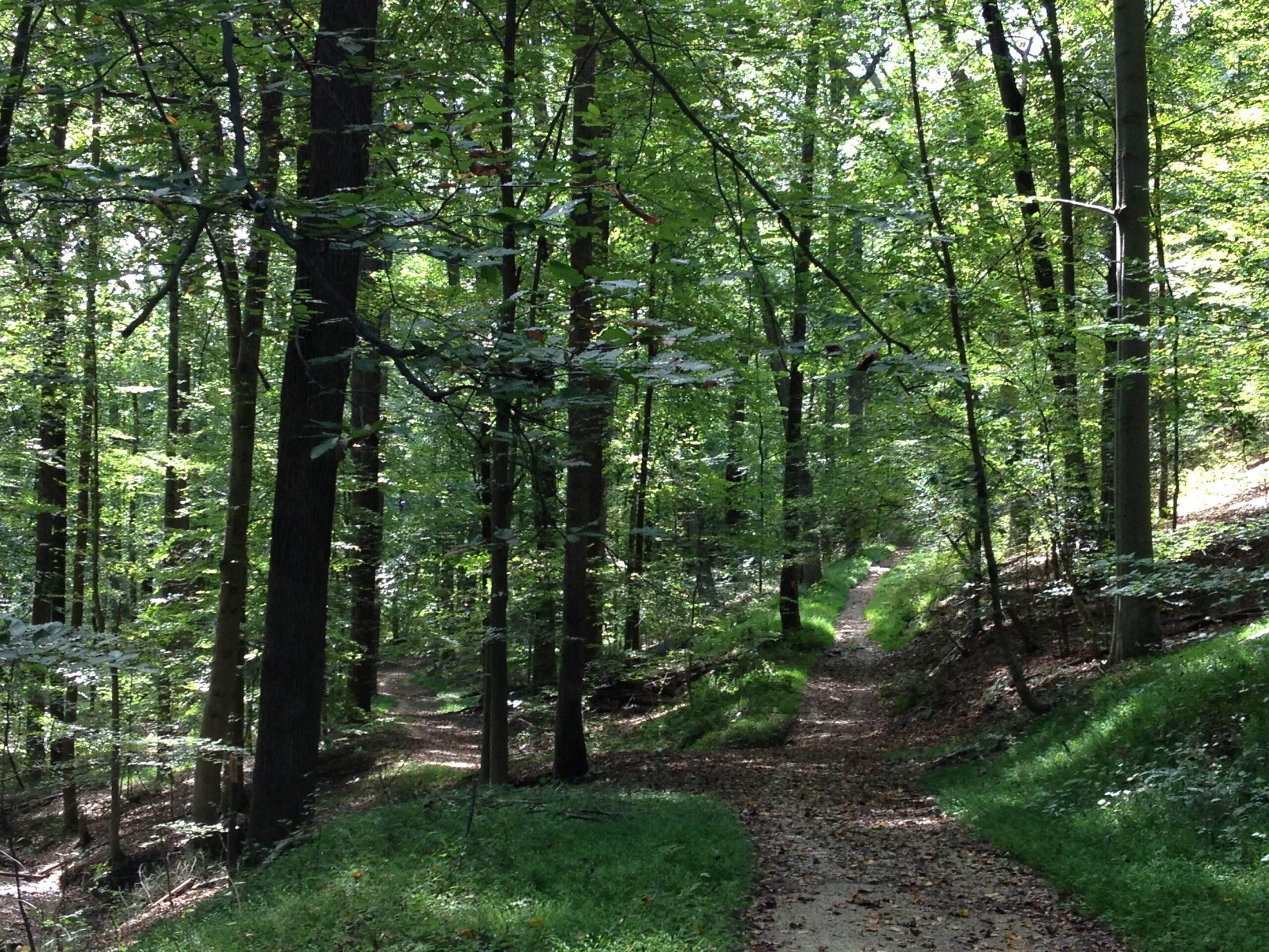 Retreat to Advance: The Importance of Pausing
